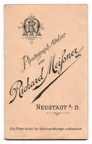 Fotografie R. Meissner, Neustadt, Mann in schwarzem Anzug mit Fliege und Schnauzbart