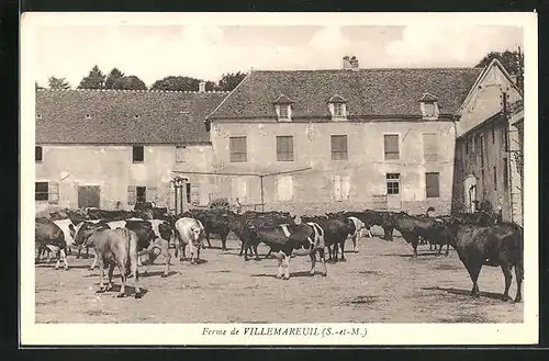 AK Villemareuil, Ferme