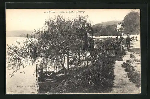 AK Triel, Bords de Seine, Paysage