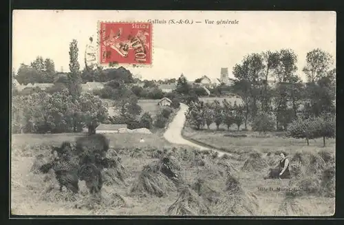 AK Galluis, Vue Générale