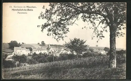 AK Montalet-le-Bois, Panorama