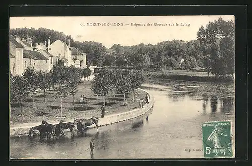 AK Moret-sur-Loing, Baignade des Chevaux sur le Loing