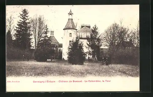 AK Germigny l`E'vêque, Château de Bossuet-Le Colombier, la Tour