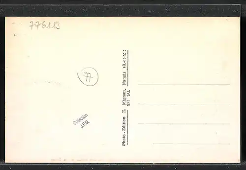 AK Noyen-sur-Seine, Les bords de la Seine