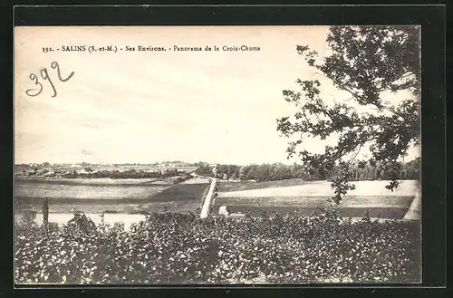 AK Salins, Ses Environs, Panorama du la Croix-Chutte