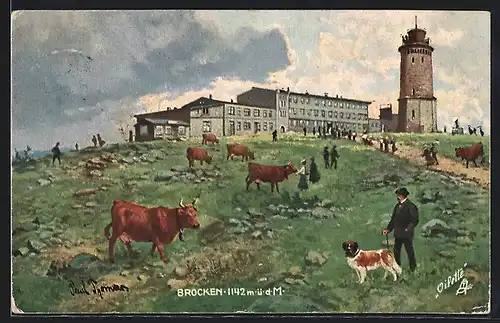 Künstler-AK Brocken, Aussichtsturm und Restaurant, grasende Kühe