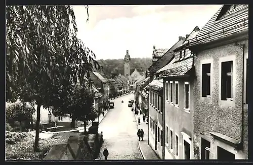 AK Waldheim, Strassenpartie mit Bürgerhäusern