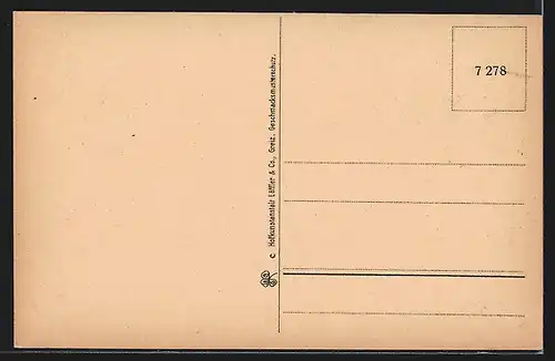 AK Hof i. Bayern, An der St. Michaeliskirche, Saalepartie