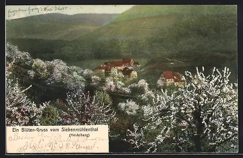 AK Heidelberg, Siebenmühlenthal bei Baumblüte
