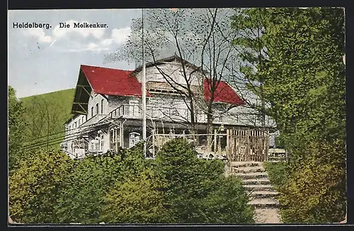 AK Heidelberg, Cafe-Restaurant Molkenkur