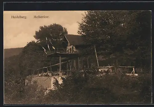 AK Heidelberg, Molkenkur