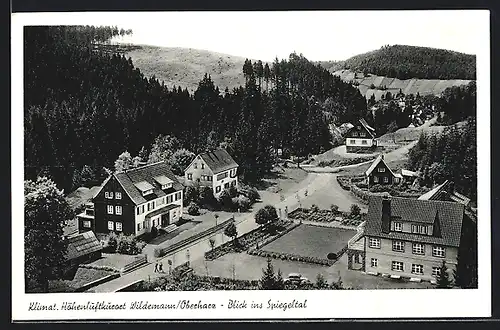 AK Wildemann /Oberharz, Blick ins Spiegeltal