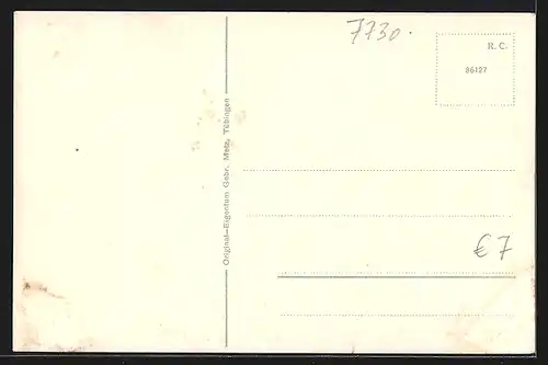 AK Villingen, Partie beim Eisweiher