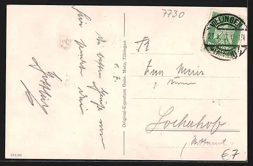 AK Villingen, Partie beim Eisweiher