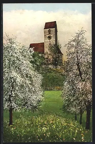 AK Birrwil, Partie im Frühling
