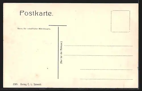 AK Triptis, Porzellan-Fabrik und Häuser, von einem Feldweg gesehen