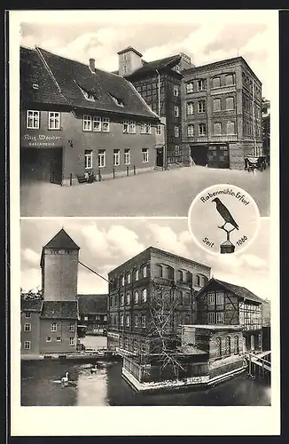 AK Erfurt, Rabenmühle v. Aug. Wender, Schwäne