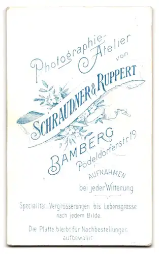 Fotografie Schraudner & Ruppert, Bamberg, Pödeldorferstr. 19, Bürgerlicher Herr in Anzug und Fliege mit Schnurrbart