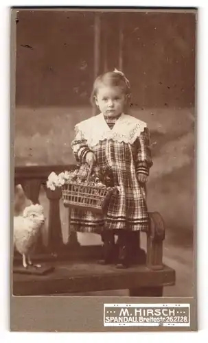 Fotografie M. Hirsch, Spandau, Breitestr. 26-28, Kleines Mädchen im karierten Kleid
