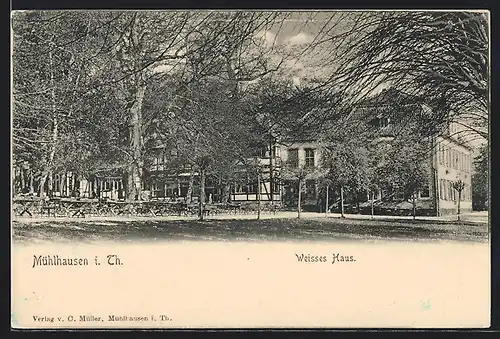 AK Mühlhausen /Th., Gasthof Weisses Haus mit Garten