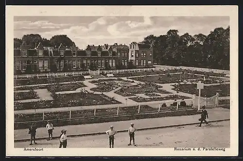 AK Amersfoort, Rosarium a. d. Paralelleweg