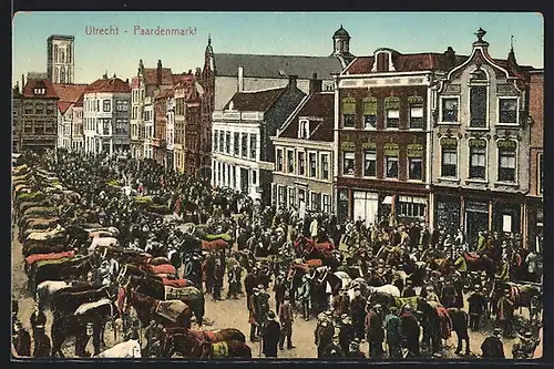 AK Utrecht, Paardenmarkt