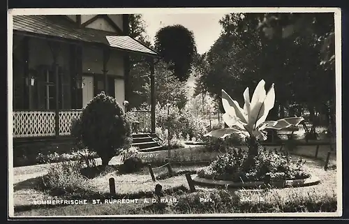 AK St. Ruprecht a.d . Raab, Haus mit Garten