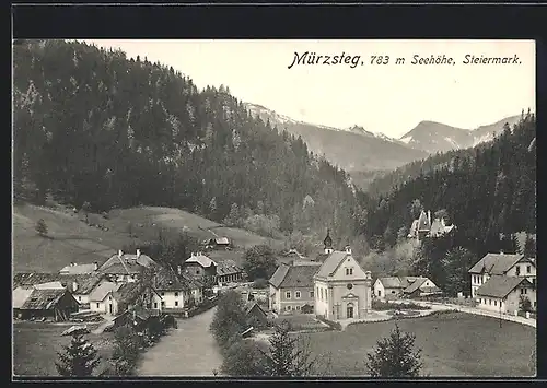 AK Mürzsteg, Ortsansicht mit Bergen