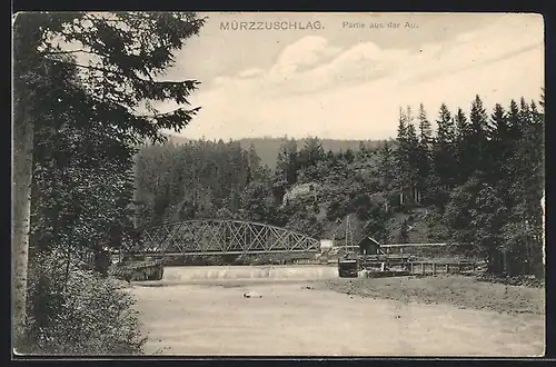 AK Mürzzuschlag, Partie aus der Au mit Brücke