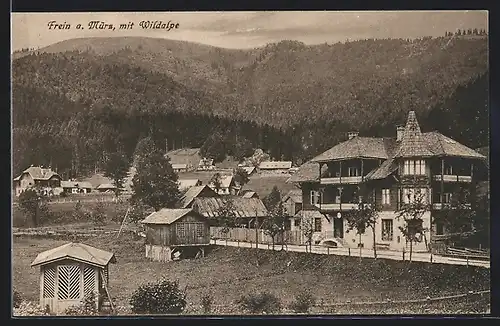 AK Frein a. Mürz, Ortsansicht mit der Wildalpe