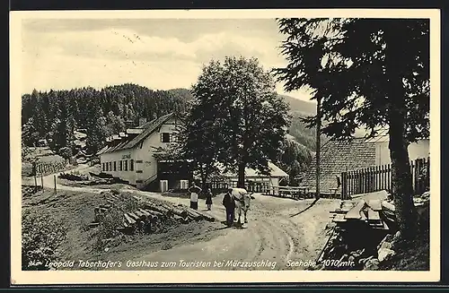 AK Mürzzuschlag, Leopold Taberhofers Gasthaus Zum Touristen