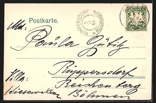 AK Hof i. B., Stadtansicht mit Kirche und Hinterhöfen