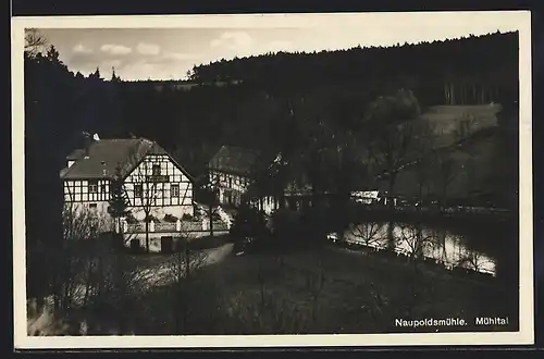 AK Eisenberg i. Thür., Waldhaus Naupoldsmühle