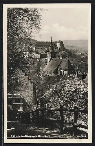 AK Tübingen, Stiftskirche und Schloss