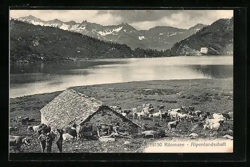 AK Quinto, Ritomsee, Almwirtschaft