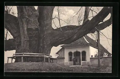 AK Bremgarten, Riesenlinde mit Einsiedelei Emaus