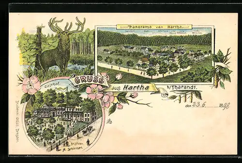 Lithographie Hartha, Panorama, Gasthaus