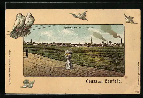AK Benfeld, Totalansicht im Jahre 1903, Weisse Tauben