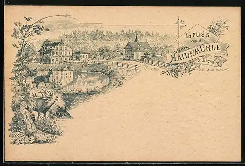 Lithographie Dresden-Dresdner Heide, Blick zum Gasthaus Haidemühle