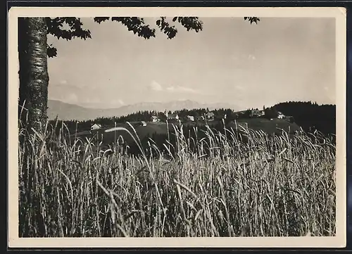AK Menzberg, Panorama mit Gräsern