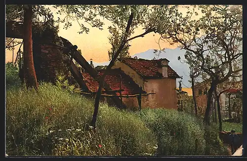 AK Ranzo /Lago Maggiore, Ortspartie