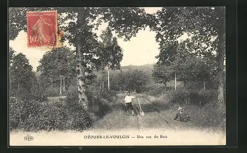 AK Ozouer-le-Voulgis, Une vue du Bois