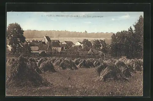 AK Isles-les-Meldeuses, Un Coin pittoresque