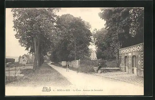 AK Bois-le-Roi, La Cave -Avenue de Sermaize