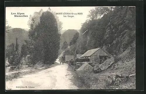 AK Saint-Léonard-des-Bois, Les Gorges, Les Alpes Mancelles