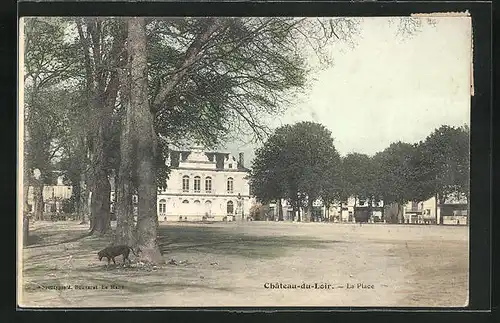 AK Château-du-Loir, La Place