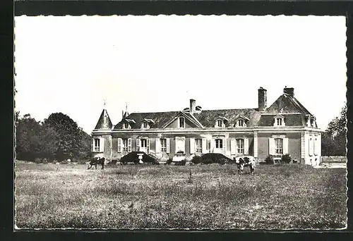 Foto-AK Dollon, Château du Parc
