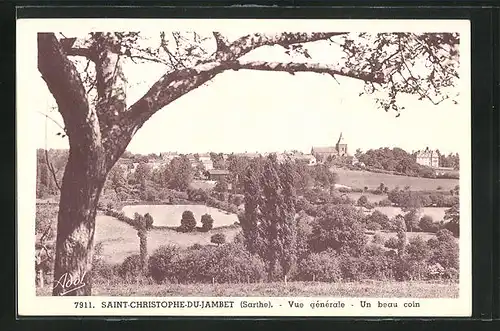 AK Saint-Christophe-du-Jambet, Vue générale-un beau coin