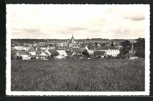 AK La Fertè-Bernard, Panorama des Ortes