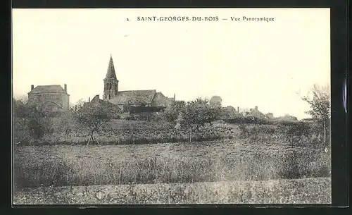 AK Saint-Georges-du-Bois, Vue Panoramique